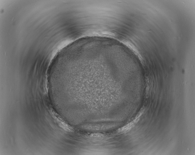 X0000088030974200705251112