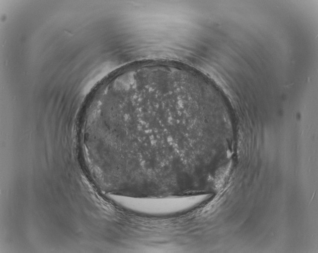 X0000088030975200705251112