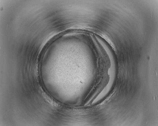 X0000088030976200705251112