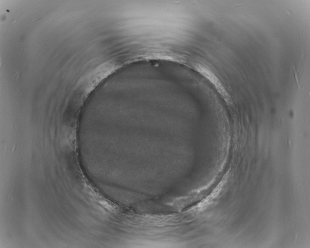 X0000088030977200705251112