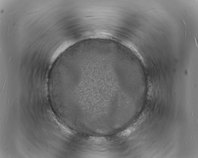 X0000088030978200705251112