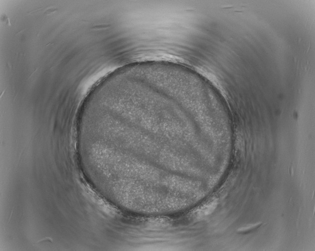 X0000088030979200705251112