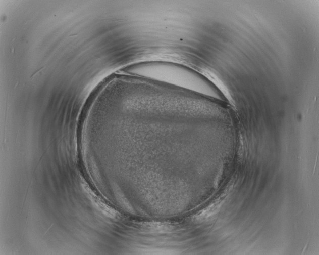 X0000088030980200705251112