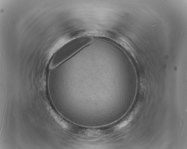 X0000088030981200705251112