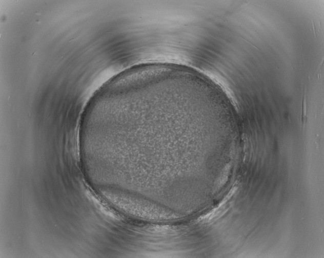 X0000088030982200705251112