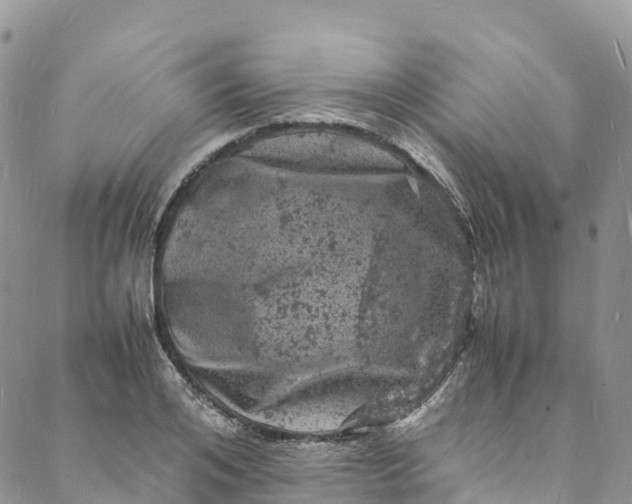 X0000088030984200705251112