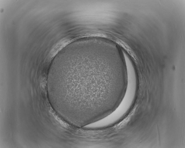 X0000088030985200705251112