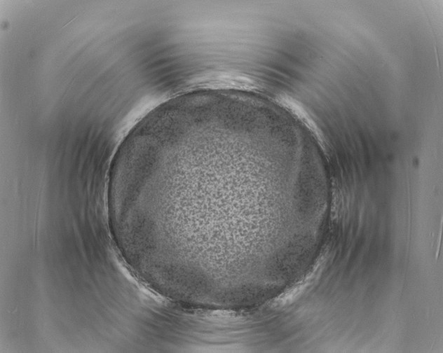 X0000088030986200705251112