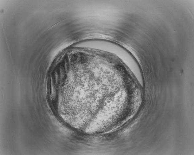 X0000088030987200705251112