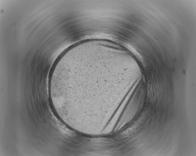 X0000088030988200705251112