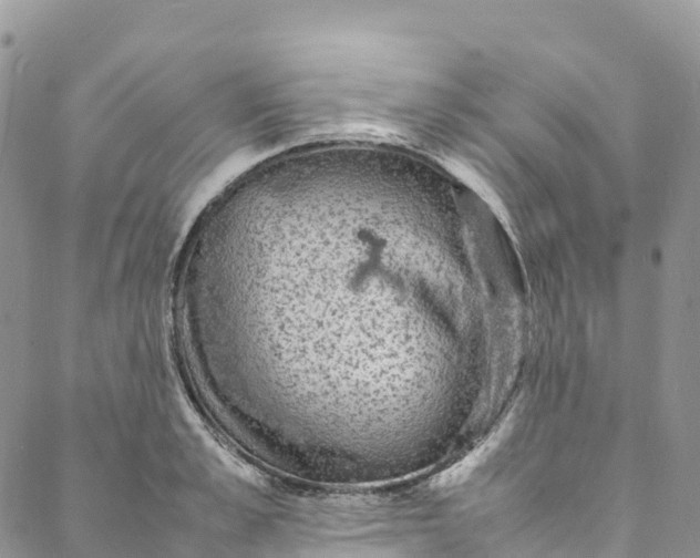 X0000088030989200705251112