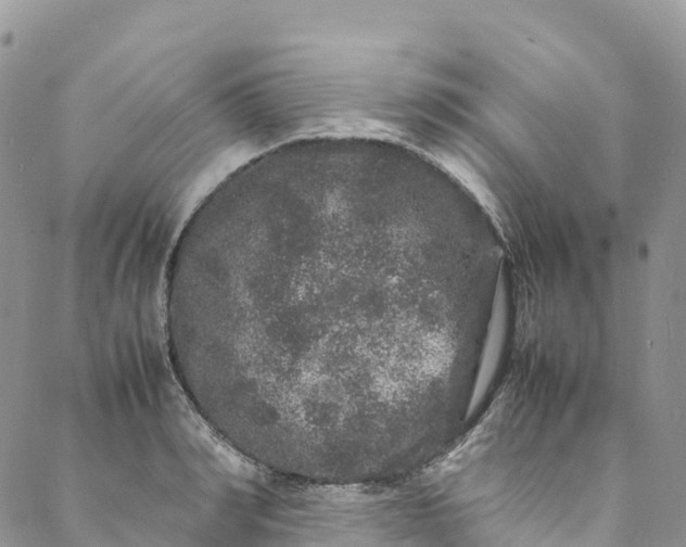 X0000088030990200705251112