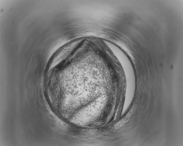 X0000088030991200705251112