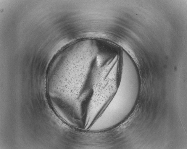 X0000088030992200705251112