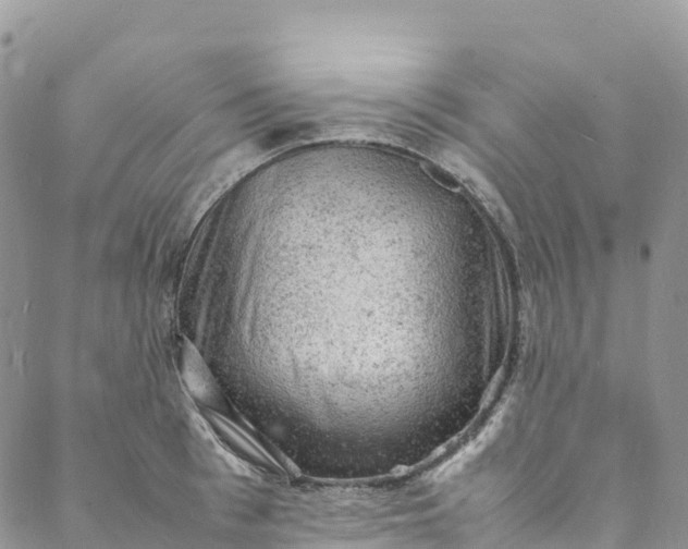 X0000088030993200705251112