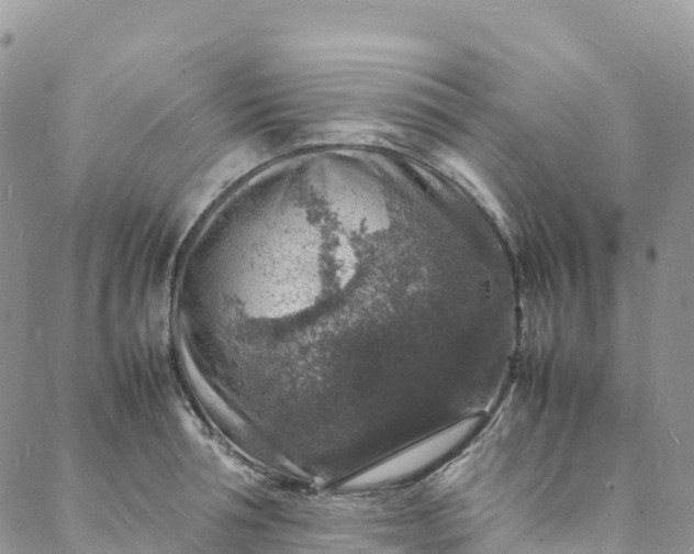 X0000088030994200705251112