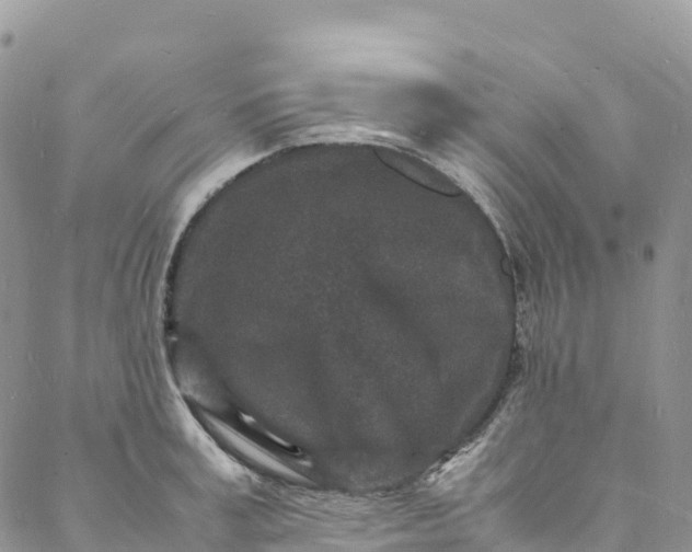 X0000088030995200705251112