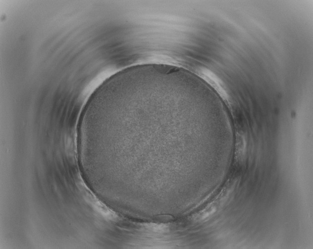 X0000088030996200705251112