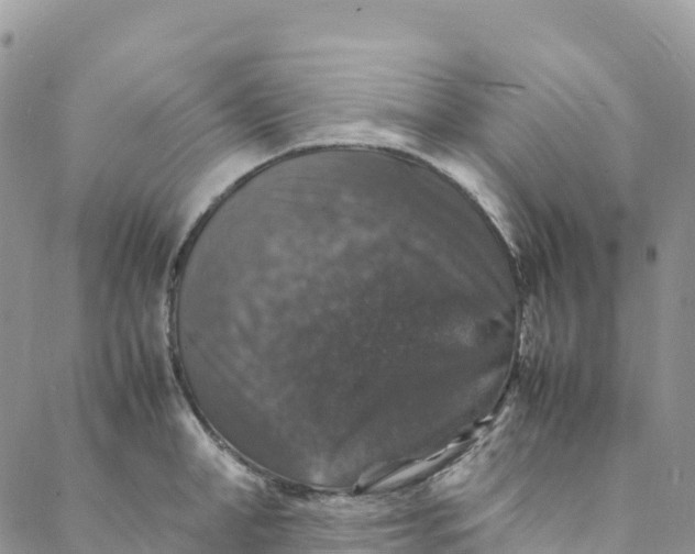 X0000088030998200705251112