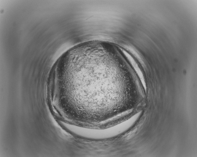 X0000088030999200705251112