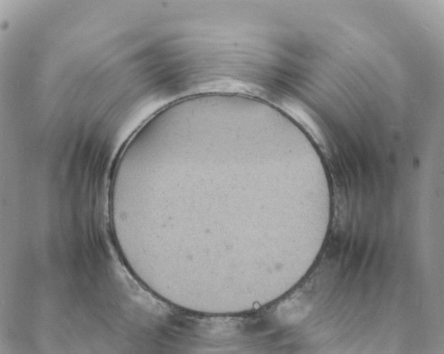 X0000088031000200705251112