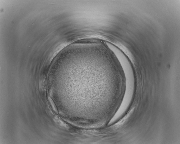 X0000088031001200705251112