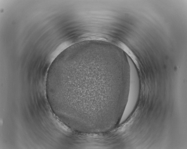 X0000088031002200705251112