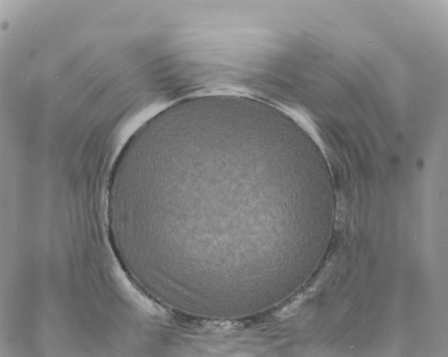 X0000088031003200705251112