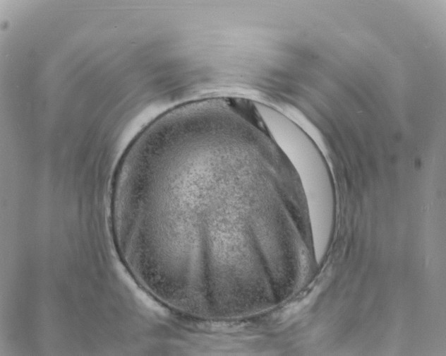 X0000088031005200705251112