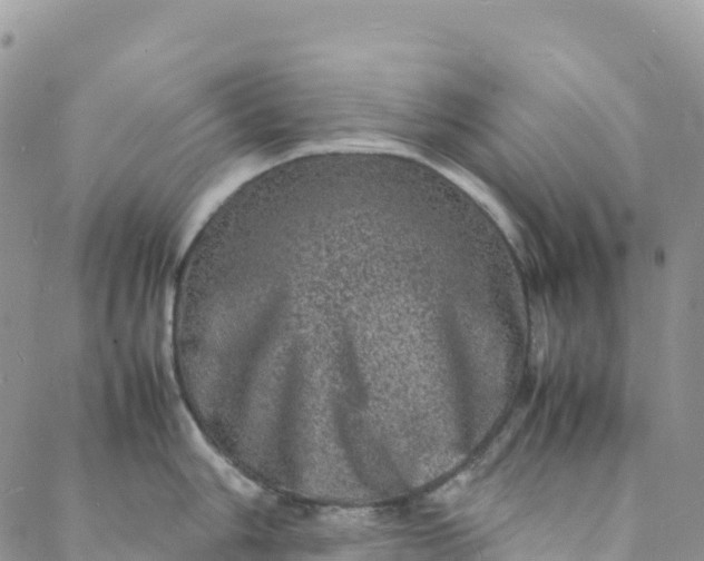 X0000088031006200705251112