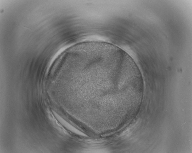 X0000088031008200705251112