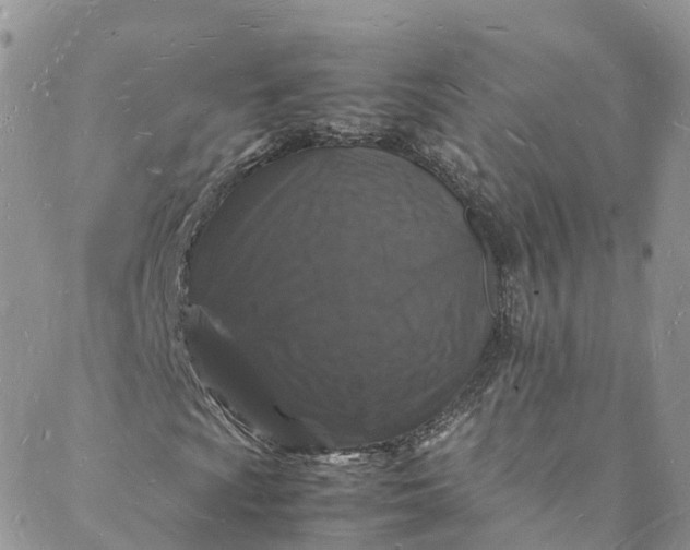 X0000088031009200705251111