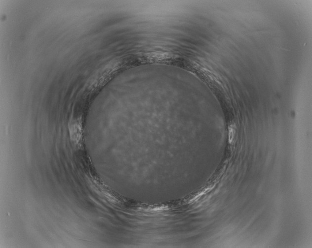 X0000088031011200705251111