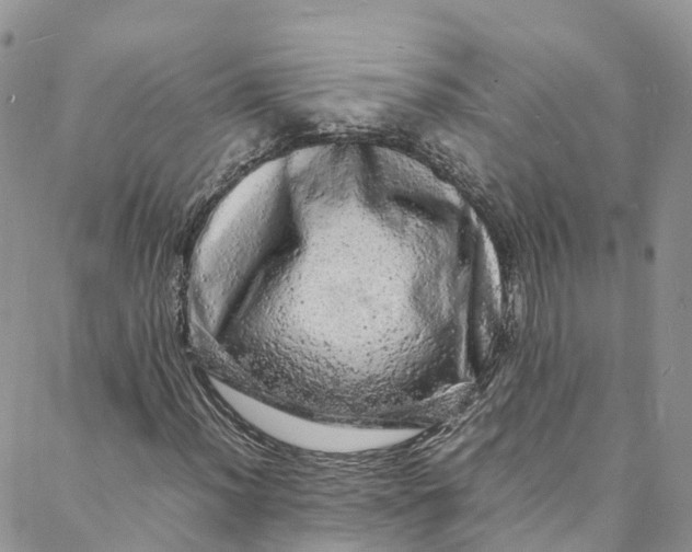 X0000088031012200705251111