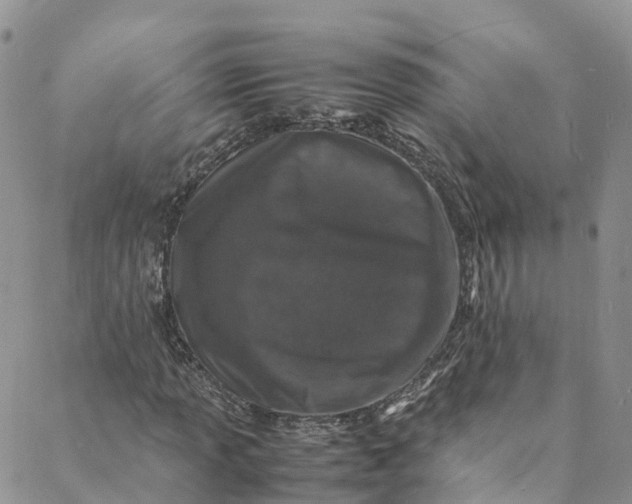 X0000088031013200705251111