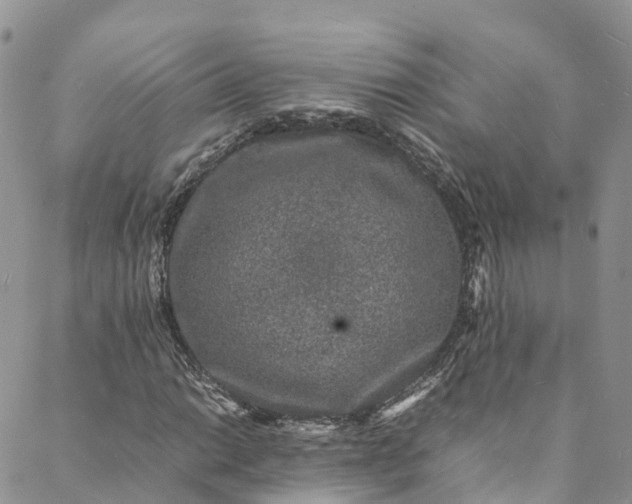 X0000088031014200705251111