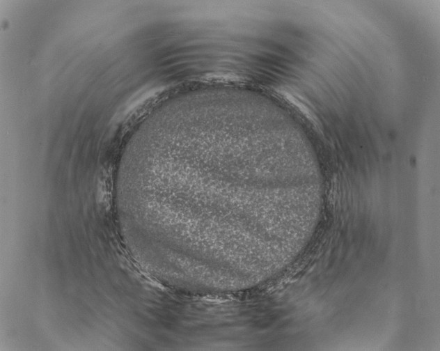 X0000088031015200705251111