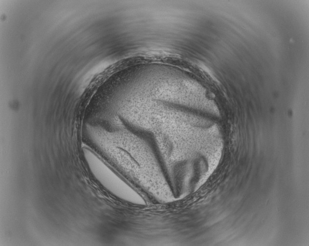 X0000088031016200705251111