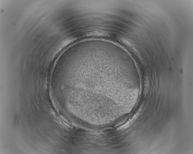 X0000088031017200705251111