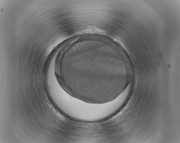 X0000088031018200705251111