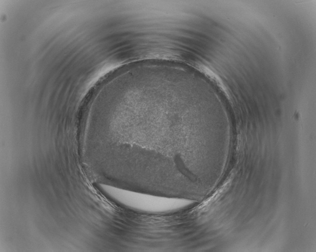 X0000088031019200705251111