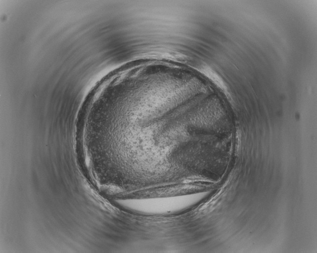 X0000088031020200705251111