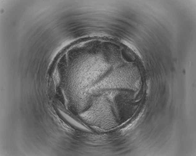 X0000088031021200705251111