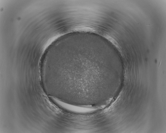 X0000088031022200705251111