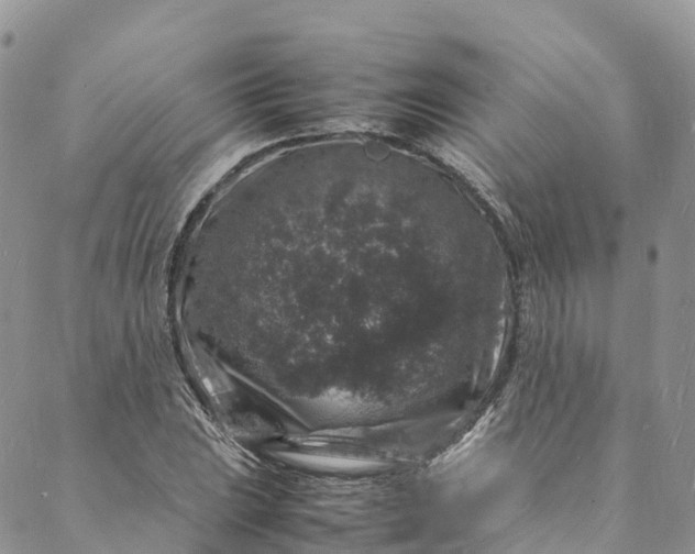 X0000088031023200705251111