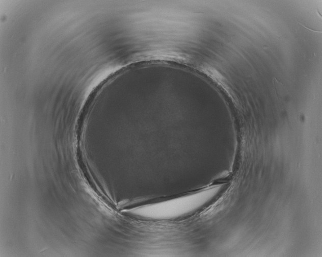 X0000088031024200705251111