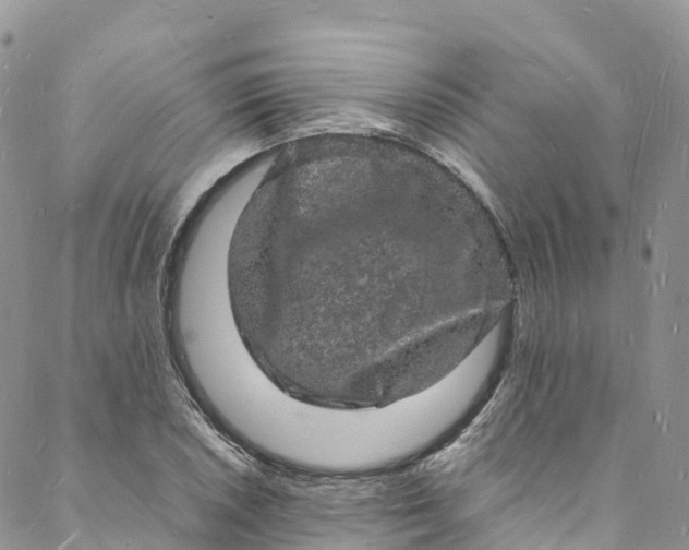 X0000088031026200705251111