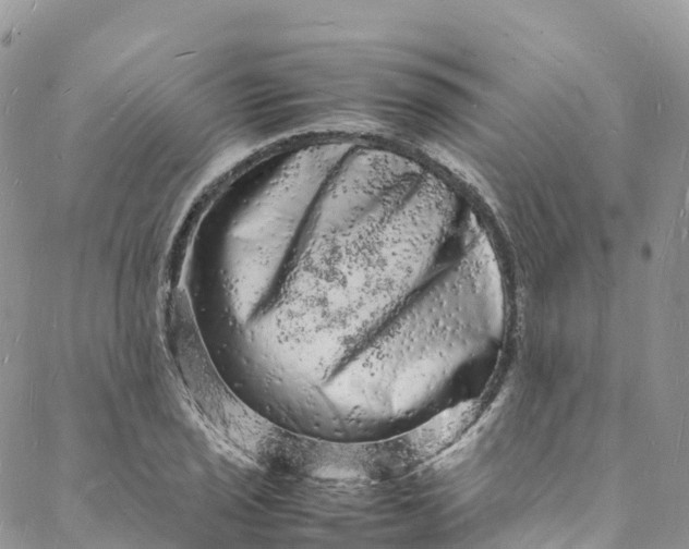 X0000088031029200705251111