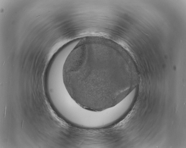 X0000088031030200705251111