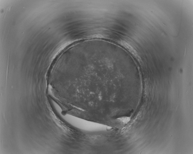 X0000088031031200705251111